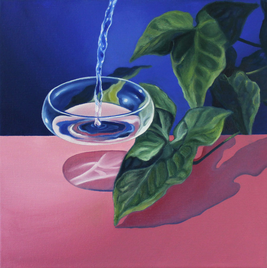 La caída del agua